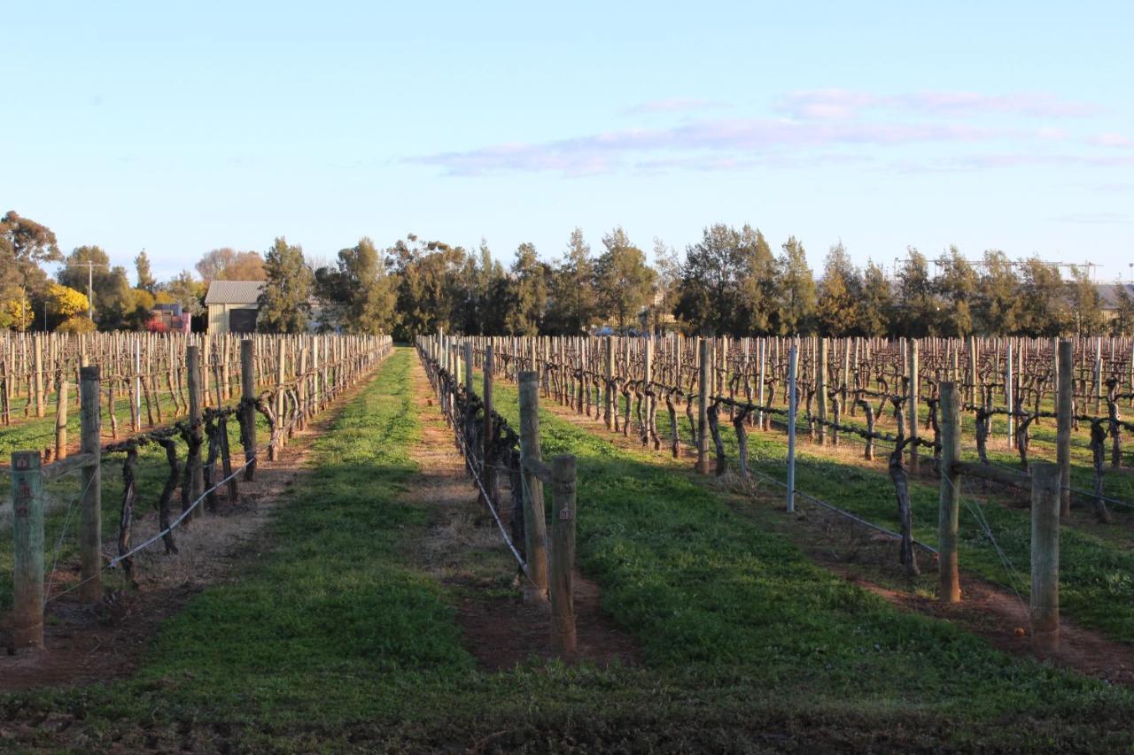 Milawa Vineyard Views - Guesthouse 1 Buitenkant foto